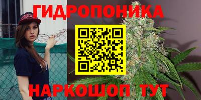 гидропоника Бердск