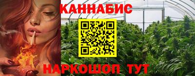 крисы Братск