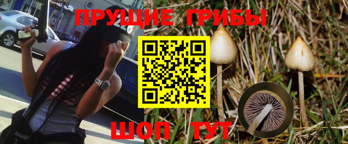 Псилоцибиновые грибы GOLDEN TEACHER Ахтубинск